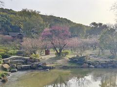 -无锡梅园公园