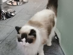 -零纪元VR体验馆·桌游(黄浦店)