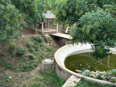 -石家庄市动物园