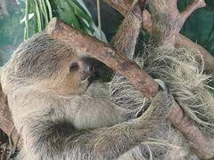 -杭州野生动物世界