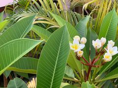 -河源御临门度假村温泉