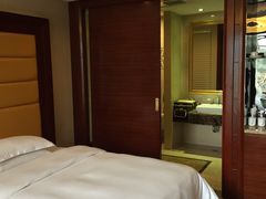 -圣爵菲斯大酒店(长沙世界之窗店)