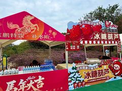 -东莞植物园