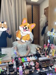 -金夫人婚纱摄影(总店)