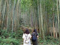 -大围山国家森林公园