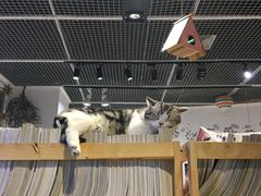 -小时光咖啡馆(开森度假森林店)