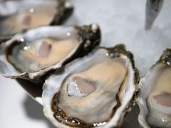 -Oyster Talks 四度蚝法餐厅