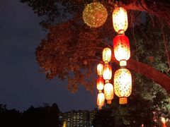 -荔湾湖公园