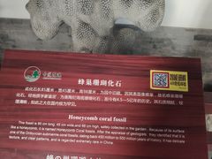 -莲池书院博物馆