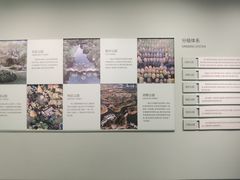 -上海城市规划展示馆