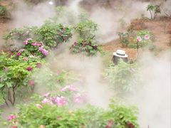 -北京西山国家森林公园