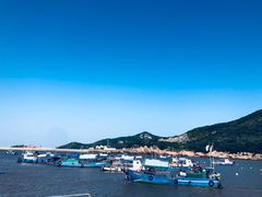 -丰收渔港饭店(嵊泗店)