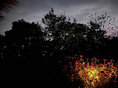 -名花谷生态庄园