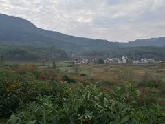 -塔川景区