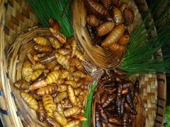 -昆虫窝子·特色云南菜(拓东路总店)