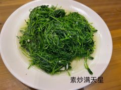 -悠悠美食