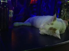 -星宿秘码(鼓浪屿老店)