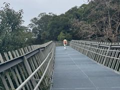 -福道