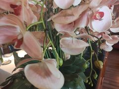 -八府香鸭·啫啫煲(华山路店)