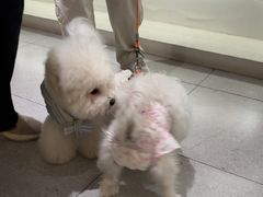 -comecome来吧宠物(奥克斯中心店)