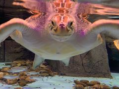 -波塞冬旅游度假区