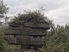 -梭布垭石林景区