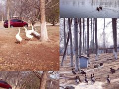 -中家鑫园温泉酒店鑫悦汤泉