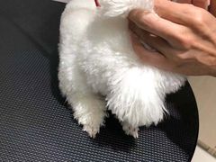 -宠颐生动物医院·小陆分院