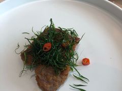 -诺莱仕游艇会