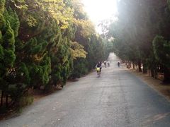 android_upload_pic-八大关景区