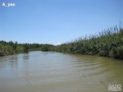 -大湾区中央湿地公园