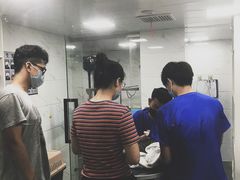 -萌兽医馆·宠物医院·猫骨科(创景店)