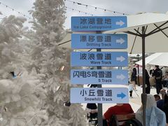 -盈香心动乐园