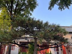 -泰山风景名胜区-普照寺