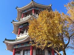 -青岛海滨风景区小鱼山