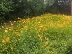 -盘龙城国家考古遗址公园