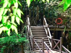 -东湖落雁景区