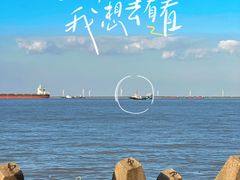 -上海滨江森林公园