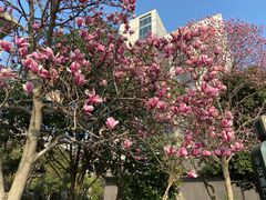 -粤秀餐厅(国货店)
