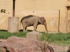 -沈阳森林动物园