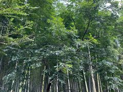 -黄公望隐居地