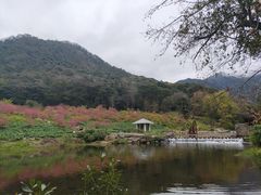 -广州市石门国家森林公园