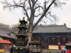 -青檀寺景区