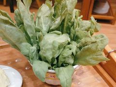 -芦月轩羊蝎子(劲松店)