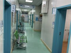 -北京观赏动物医院·24小时大型综合·猫专科·异宠专科