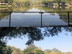 -老木棉·匠园