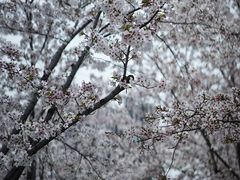 -龙美术馆西岸馆-停车场