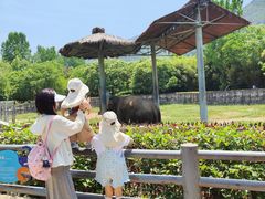 -西安秦岭野生动物园