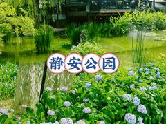 -静安公园(静安寺街道)