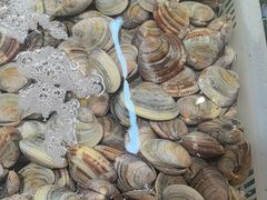 -和源祥·日照菜扛把子(万平口一店)